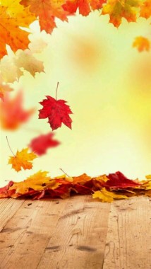 無料のかわいい秋の壁紙壁紙 かわいい秋の壁紙壁紙ダウンロード Wallpaperuse 1