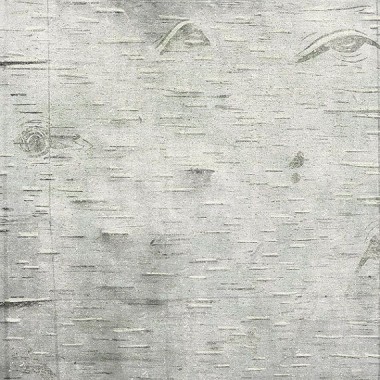 Free Birch Wood Wallpaper, Birch Wood Wallpaper Download - WallpaperUse - 1