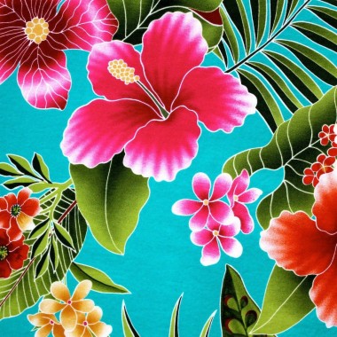無料のハワイの花の壁紙壁紙 ハワイの花の壁紙壁紙ダウンロード Wallpaperuse 1