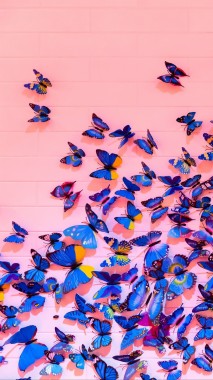 無料の蝶のiphoneの壁紙壁紙 蝶のiphoneの壁紙壁紙ダウンロード Wallpaperuse 1
