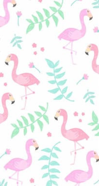 Flamingo Wallpaper Uk Flamingo Greater Flamingo Bird Pink Water Bird Wallpaperuse