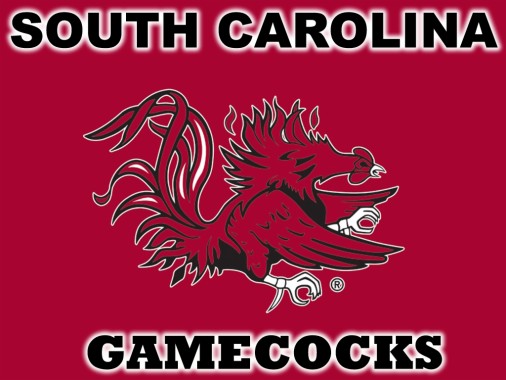 south carolina gamecocks wallpaper,red,illustration,text,font,graphic ...