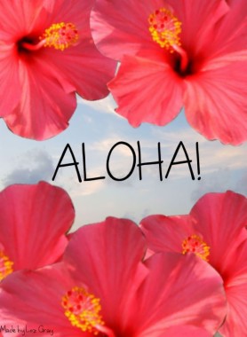 Kostenlose Aloha Tapete Hintergrundbilder Aloha Tapete Hintergrundbilder Herunterladen Wallpaperuse 1