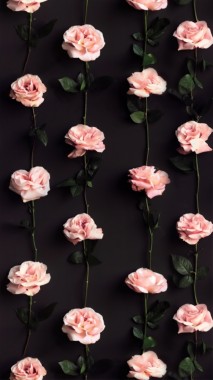花のiphoneの壁紙 花 開花植物 工場 花弁 ピンク Wallpaperuse