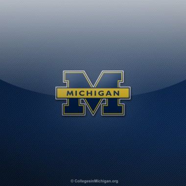 michigan wolverines wallpaper,text,blue,logo,font,sky (#360362 ...