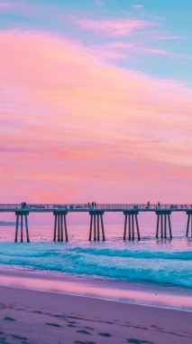 カリフォルニア州のiphone壁紙 空 木 ヤシの木 街路灯 夜 Wallpaperuse