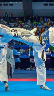 Free Taekwondo Wallpaper Taekwondo Wallpaper Download Wallpaperuse 1