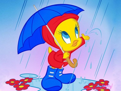 Free Tweety Bird Wallpaper Tweety Bird Wallpaper Download Wallpaperuse 1