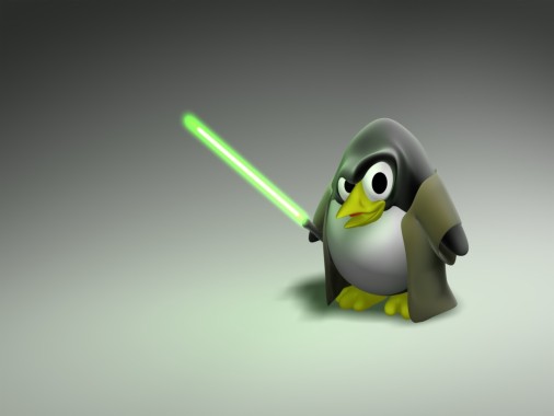 Linuxデスクトップの壁紙 飛べない鳥 ペンギン 鳥 漫画 アニメーション Wallpaperuse
