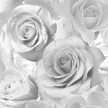 Free Silver Rose Wallpaper, Silver Rose Wallpaper Download