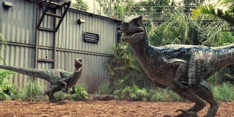 Fondos Wallpaper Dinosaur Tyrannosaurus Wildlife Organism Extinction Wallpaperuse