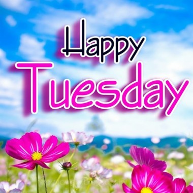 tuesday wallpaper,flower,text,morning,natural landscape,petal (#698123 ...