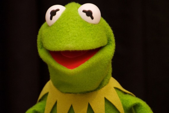 Kermit Wallpaper Green Frog Toy Stuffed Toy Puppet 7332 Wallpaperuse