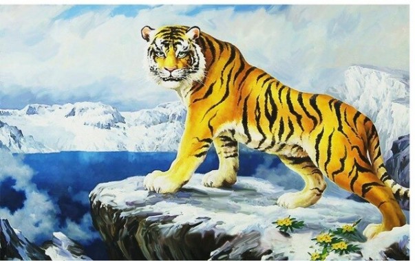 WallArtz Tiger 3D Wallpaper HD Print Interior Decor Mural For Modern Homes,  Realistic Animal Design With Stunning Detail & Beauty. From Qcvf, $13.72 |  DHgate.Com
