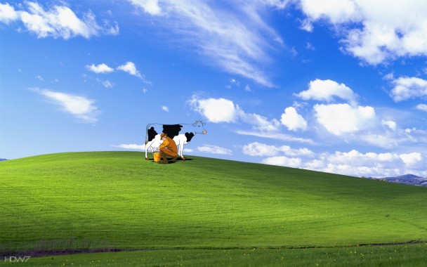 funny windows wallpaper,grassland,pasture,sky,green,nature (#746691 ...