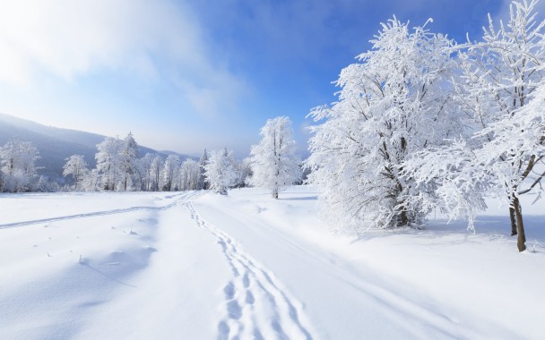 wallpaper kostenlos,snow,winter,sky,nature,tree (#84117) - WallpaperUse