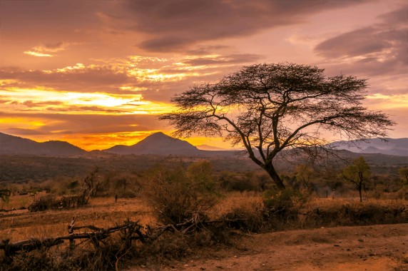 ethiopia wallpaper,nature,sky,natural landscape,savanna,tree (#838789 ...