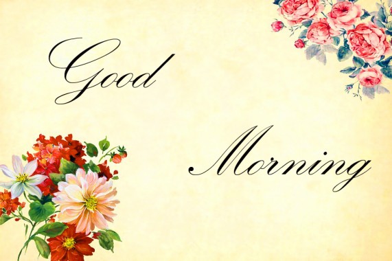 good morning wallpaper for whatsapp,flower,sacred lotus,lotus,lotus ...