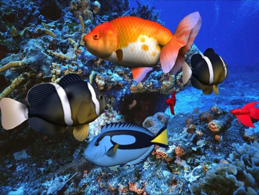 Coral Reef Aquarium 3d Animated Wallpaper Image Num 97