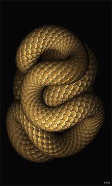 3d画像ライブ壁紙 ヘビ 爬虫類 蛇 ガラガラヘビ エラピダエ 1577 Wallpaperuse