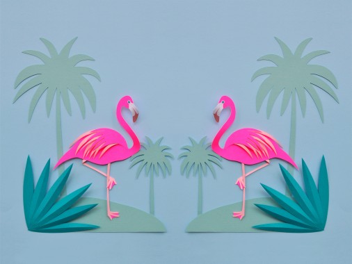 Free Pink Flamingo Wallpaper Pink Flamingo Wallpaper Download Wallpaperuse 1